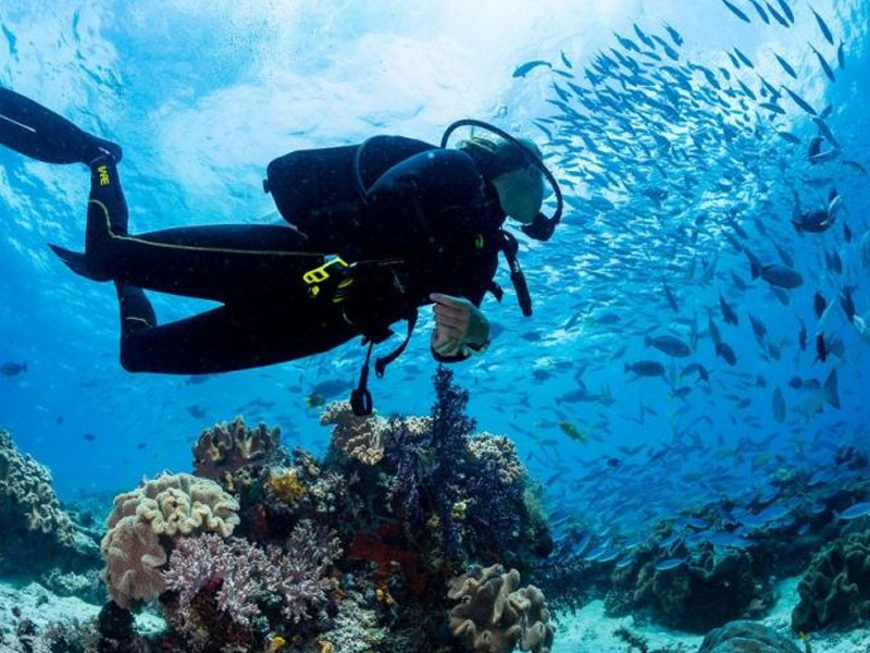 raja ampat resort diving offer 2